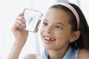 New Research: Anesthesia Pushing Wisdom Teeth Development Aside